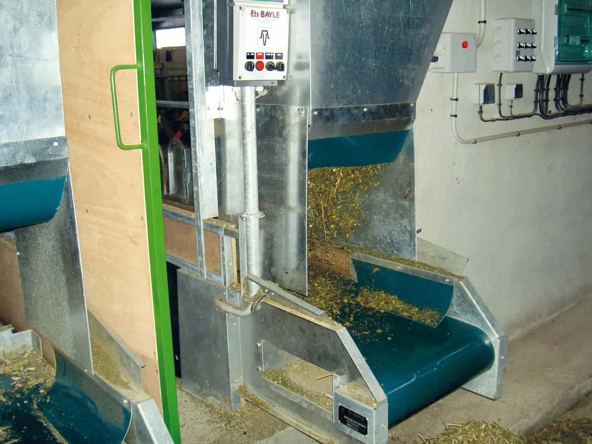Sortie de convoyeur alimentation ovins caprins